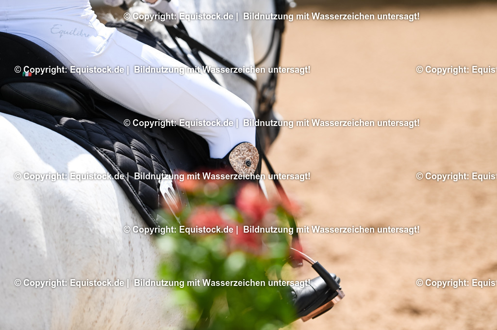 20230715_09_Dressur-WB_0096 | equistock