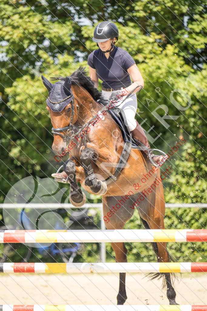 IMG_9329 | Sport-, Event- und Tierfotos in Profiqualität. Einfach auswählen, bestellen und herunterladen. Dein Moment – perfekt festgehalten.
