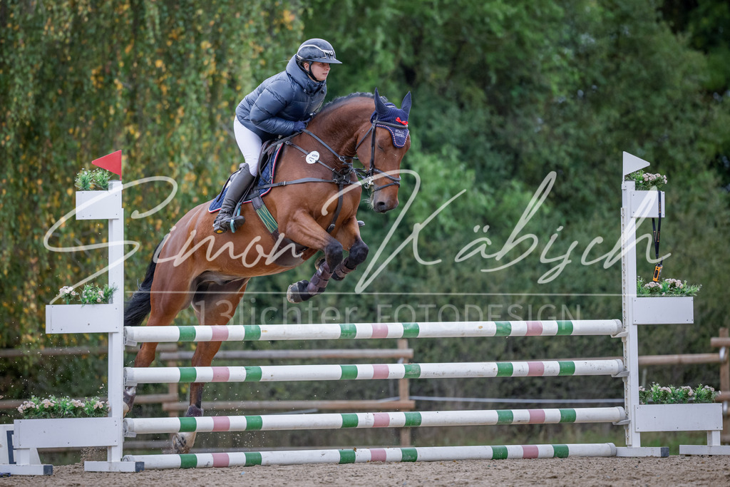 20251012-_3LI3736 | Tierfotografie Pferde, Hunde, Katzen, Haustiere.
Turnierfotografie Reitturniere, Reiten, Springreiten, Dressur in Hanau, dem Main-Kinzig-Kreis und dem Rhein-Main- Gebiet um Frankfurt