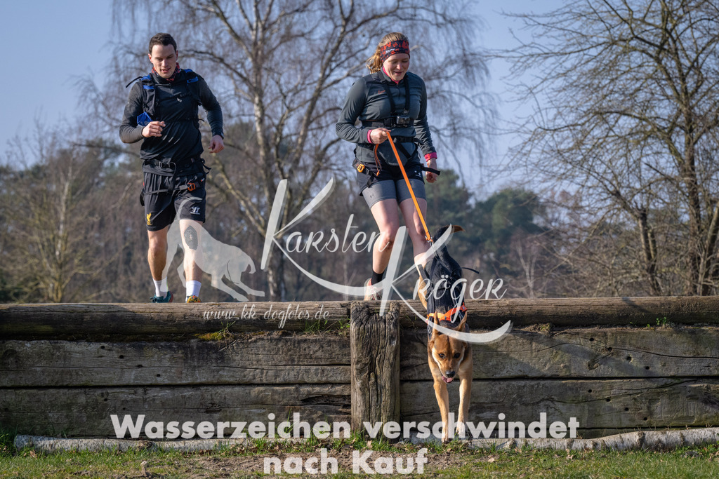 _ZZ91293 | kk-dogfotos