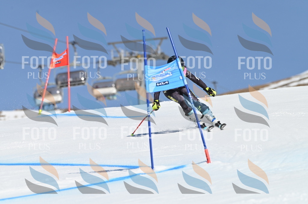 BGV_8045 | holidayphoto