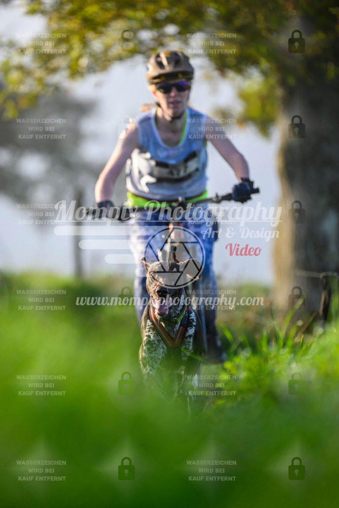 MompixPhotography_20TSB_E3_Bike-149 | PayLife