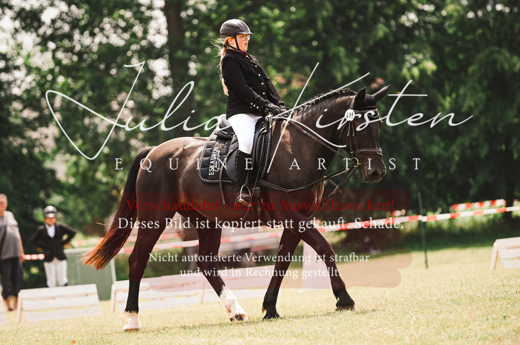 DSC_6185 | Pferde- und Turnierfotografie in Westsachsen. Pferdeportraits, Auftragszeichnungen und intuitive Kunst.