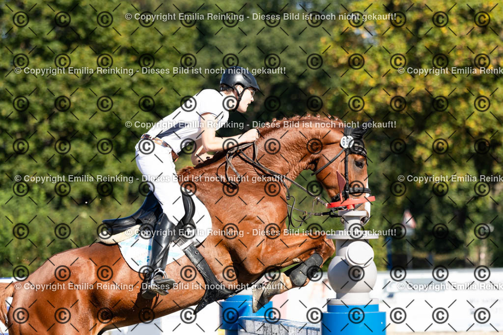 CL5A6800 | Emilia Reinking Fotografie - Realisiert mit Pictrs.com