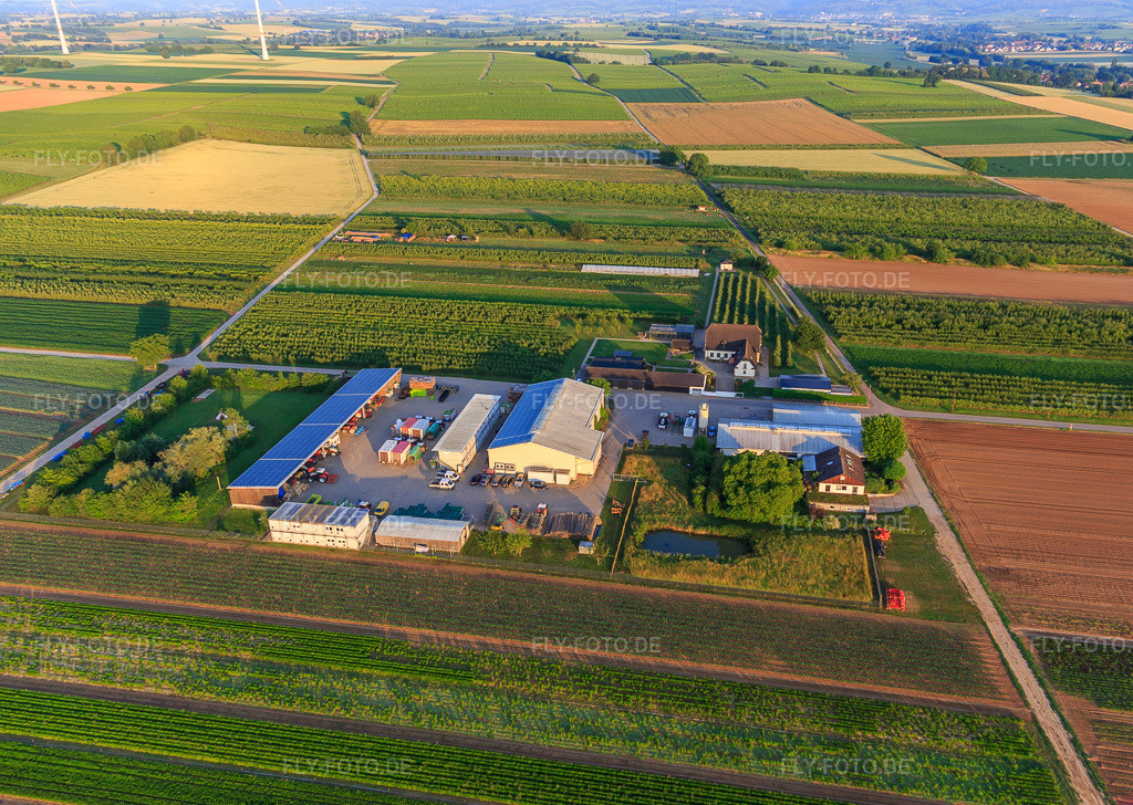 Luftbild: Bauers Garten in Winden im Bundesland Rheinland-Pfalz in Deutschland. – Foto: IMG_148410.jpg vom 18.06.2025 durch Werner Riehm/FLY-FOTO.de – Auflösung des Originals: 4816 x 3422 px – WWW.BAUERS-GARTEN.DE