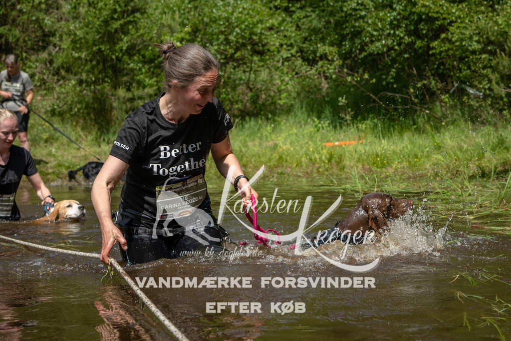 1216DKK992382 | kk-dogfotos