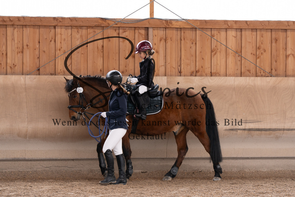 A7507262 | Pferdefotograf