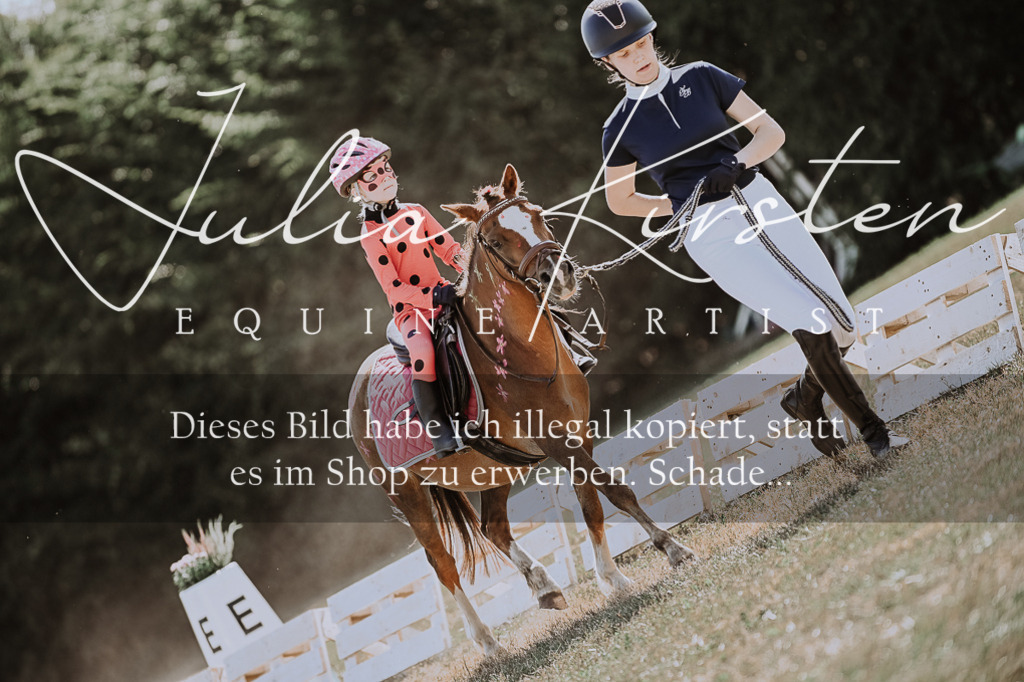 DSC_8909 | Pferde- und Turnierfotografie in Westsachsen. Pferdeportraits, Auftragszeichnungen und intuitive Kunst.