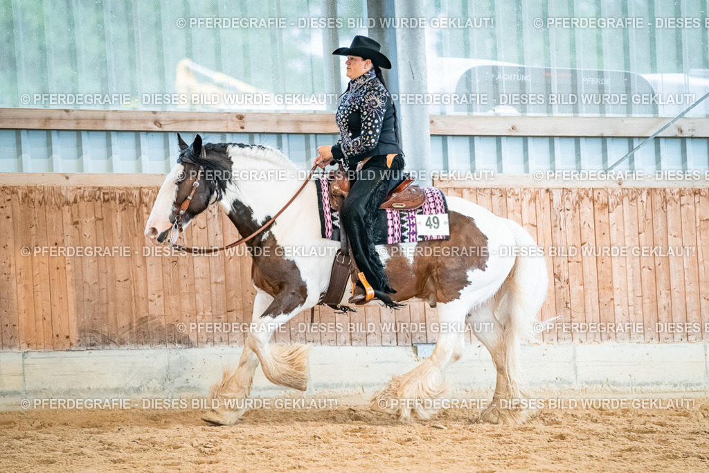 DSC00489 | Pferdegrafie