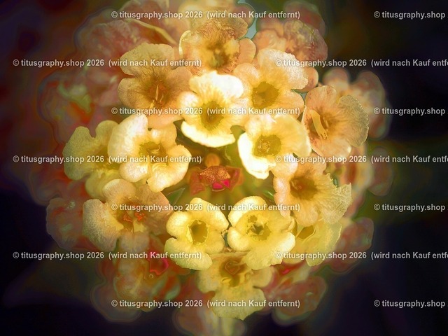 titusgraphy-P6100505_var-122 | Fotokunstarbeit aus der INSTAGRAM-Gallerie auf titusgraphy.eu - Realisiert mit Pictrs.com