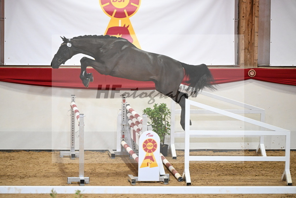 Kat.-Nr. 32 v. Monator vd Radstake_Schep_2251215 | hf-fotografie - Realizzato con Pictrs.com