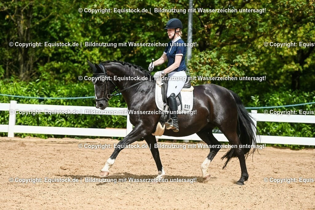 20230715_02_Dressurreiterprüfung Kl.L_0356 | equistock