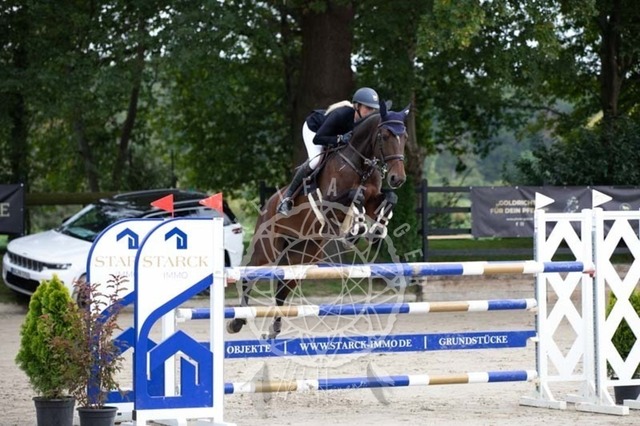 2B4A2412 | pixelfaenger - Realisiert mit Pictrs.com