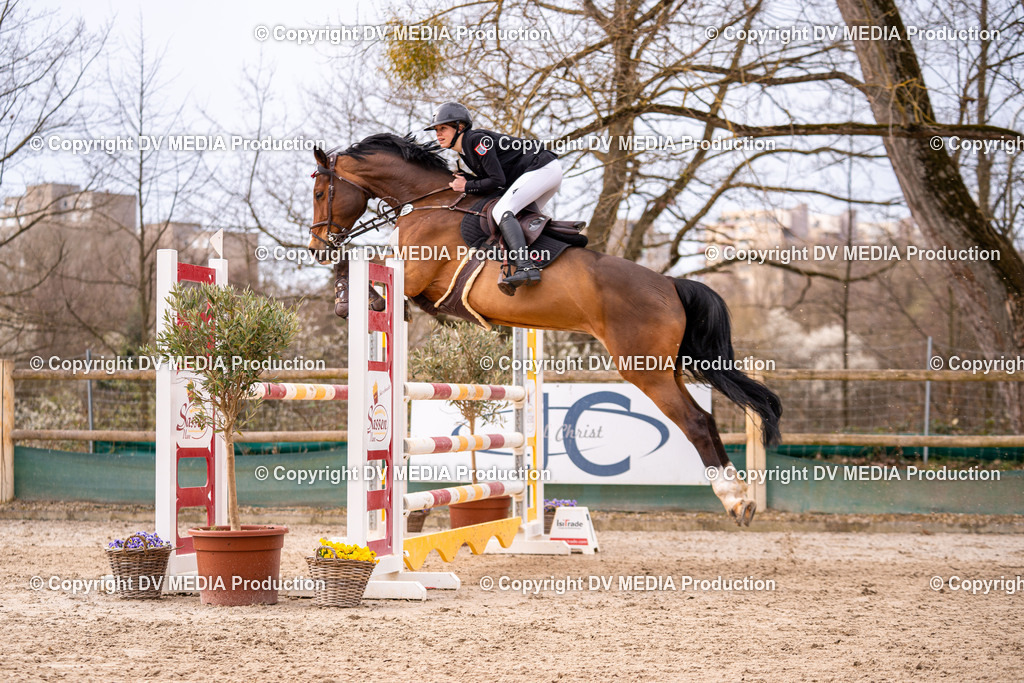 Kranichstein Tag 2-406 | dv-media-shop - Realisiert mit Pictrs.com