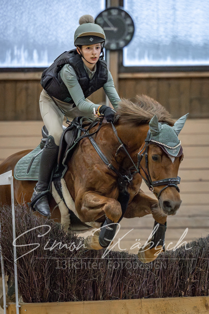 20260222-_3LI1069 | Tierfotografie Pferde, Hunde, Katzen, Haustiere.
Turnierfotografie Reitturniere, Reiten, Springreiten, Dressur in Hanau, dem Main-Kinzig-Kreis und dem Rhein-Main- Gebiet um Frankfurt