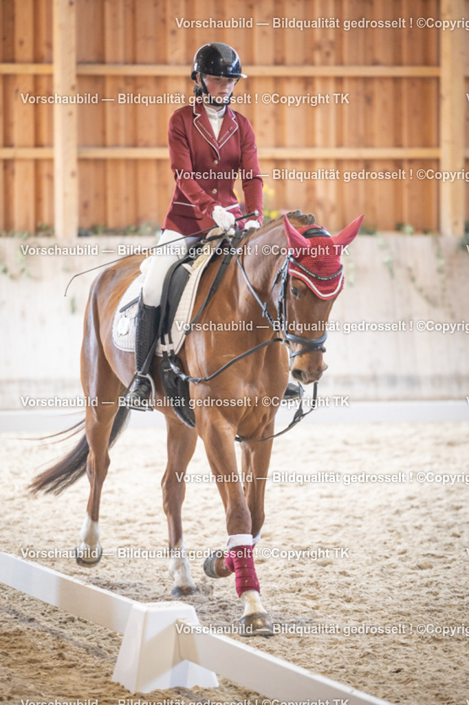 _D5A5508 | Emotionale Pferde- & People-Fotografie rund um Heidelberg, Leimen & Umgebung. Natürliche Fotos von Pferd, Mensch & Familie. Jetzt Termin sichern!