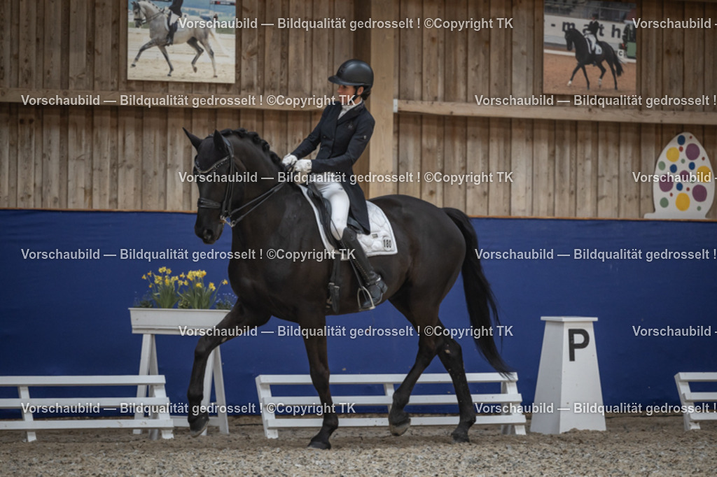 _D5A0705 | Emotionale Pferde- & People-Fotografie rund um Heidelberg, Leimen & Umgebung. Natürliche Fotos von Pferd, Mensch & Familie. Jetzt Termin sichern!