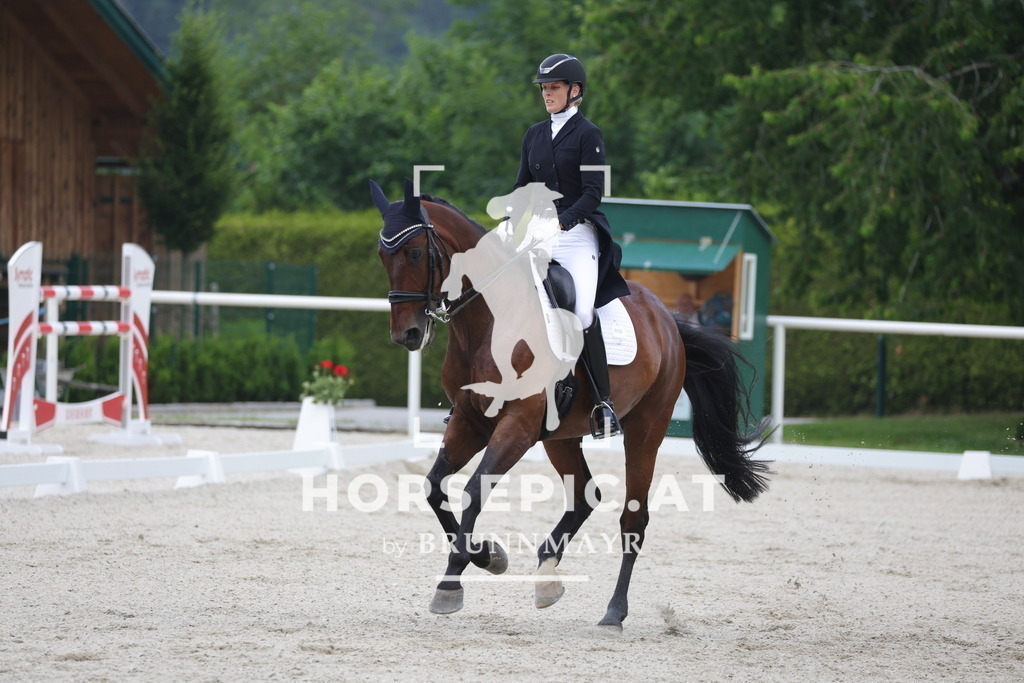 0P6A6911 | Willkommen bei Brunnmayr - Design & Fotografie – Ihrem Spezialisten für Reitturniere und Pferdeveranstaltungen in Oberösterreich, Salzburg und Bayern! Seit über 17 Jahren sind wir leidenschaftlich dabei.