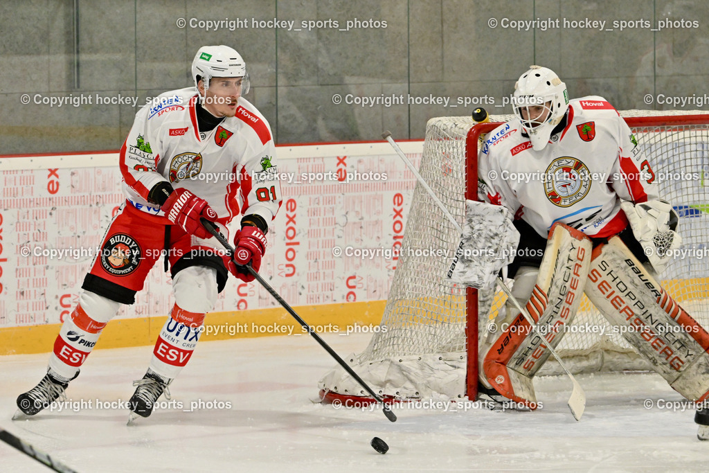 ESV FERLACH vs. ESC SOCCERZONE STEINDORF | #91 Alagic Adis ESV Ferlach, #35 Arneitz Christian ESV Ferlach, ESV FERLACH vs. ESC SOCCERZONE STEINDORF, ESV FERLACH vs. ESC SOCCERZONE STEINDORF am 22.11.2024 in Ferlach (Eishalle Ferlach ), Austria, (Photo by Bernd Stefan)