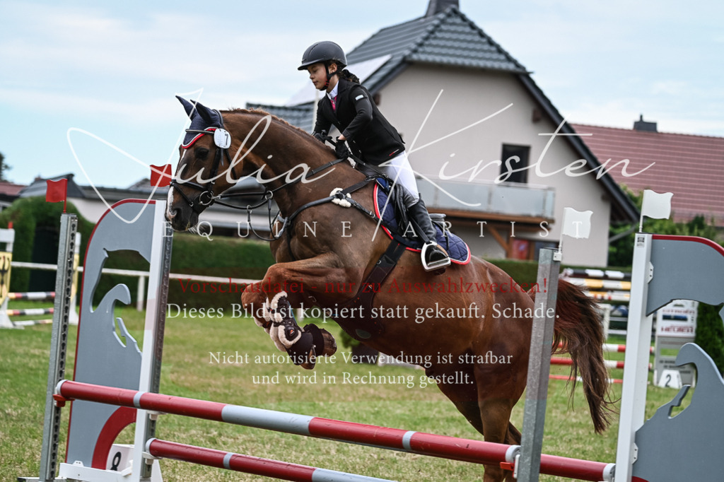 DSC_8539 | Pferde- und Turnierfotografie in Westsachsen. Pferdeportraits, Auftragszeichnungen und intuitive Kunst.
