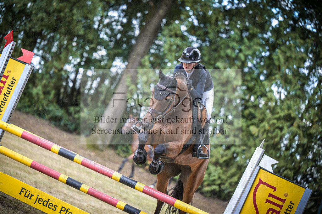 DOS_0124 | Entdecke hochwertige Reitturnierfotos von Foto Oger. Professionell, emotional und authentisch – jetzt Lieblingsmomente im Shop bestellen.Deutschlandweite Turnierfotografie. - Realisiert mit Pictrs.com