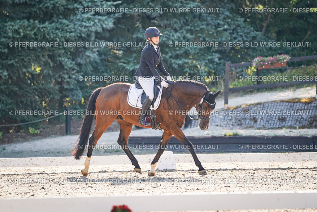 DSC09110 | Pferdegrafie