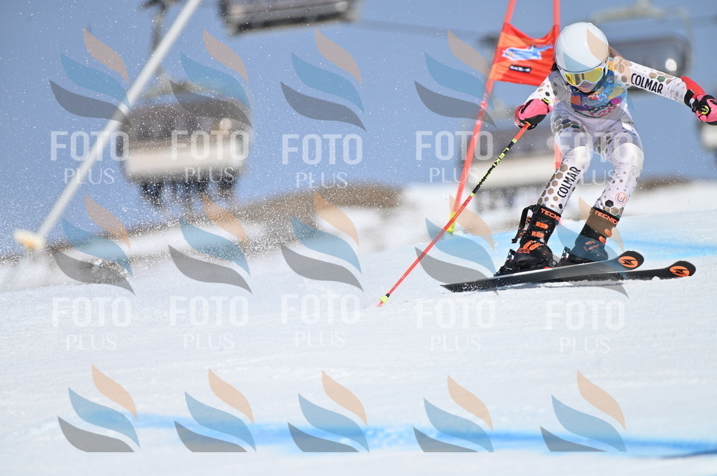 BGV_9948 | holidayphoto