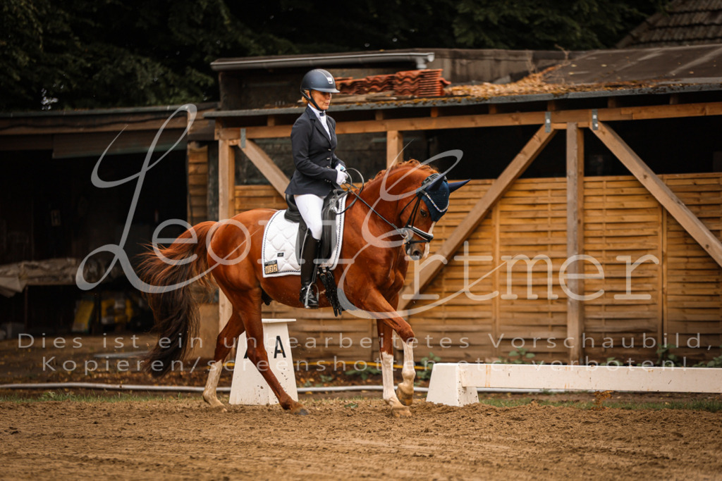 17.SoDrL00334 | Leoni Ertmer Photography - Realisiert mit Pictrs.com