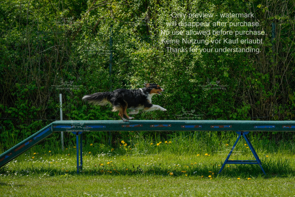 Sa_Laeufe_VK1und2_03-15 | stephaniefillaphotographie - Realisiert mit Pictrs.com