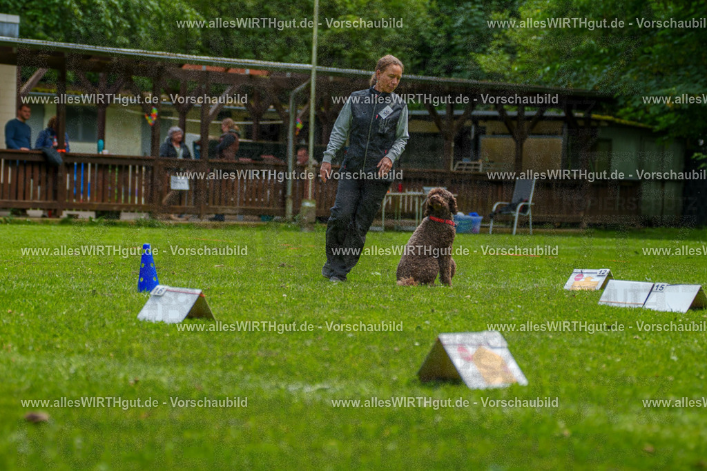 @allesWIRTHgut_Tierfotografie - www.allesWIRTHgut.de - 7R501129 | Professionelle Tierfotografie in Mönchengladbach von Daniel Wirth (allesWIRTHgut). Liebevolle & natürliche Bilder von Hunden & Katzen für unvergessliche Erinnerungen.