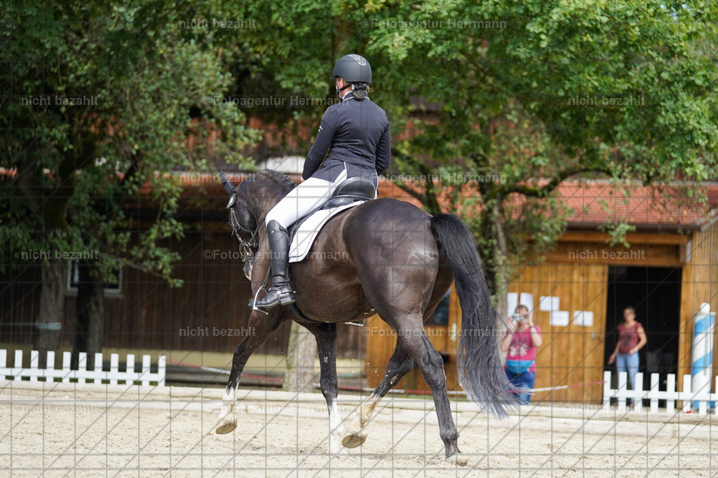 20230826-FAH05280 | Forstinning, 2023, Dressurturnier, Turniersportbilder, Turnierfotografen Bayern, Fotoagentur Herrmann, Reitsportfotografie, Turnierbilder