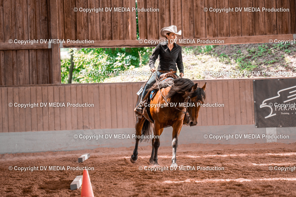 NE100561 | dv-media-shop - Realisiert mit Pictrs.com