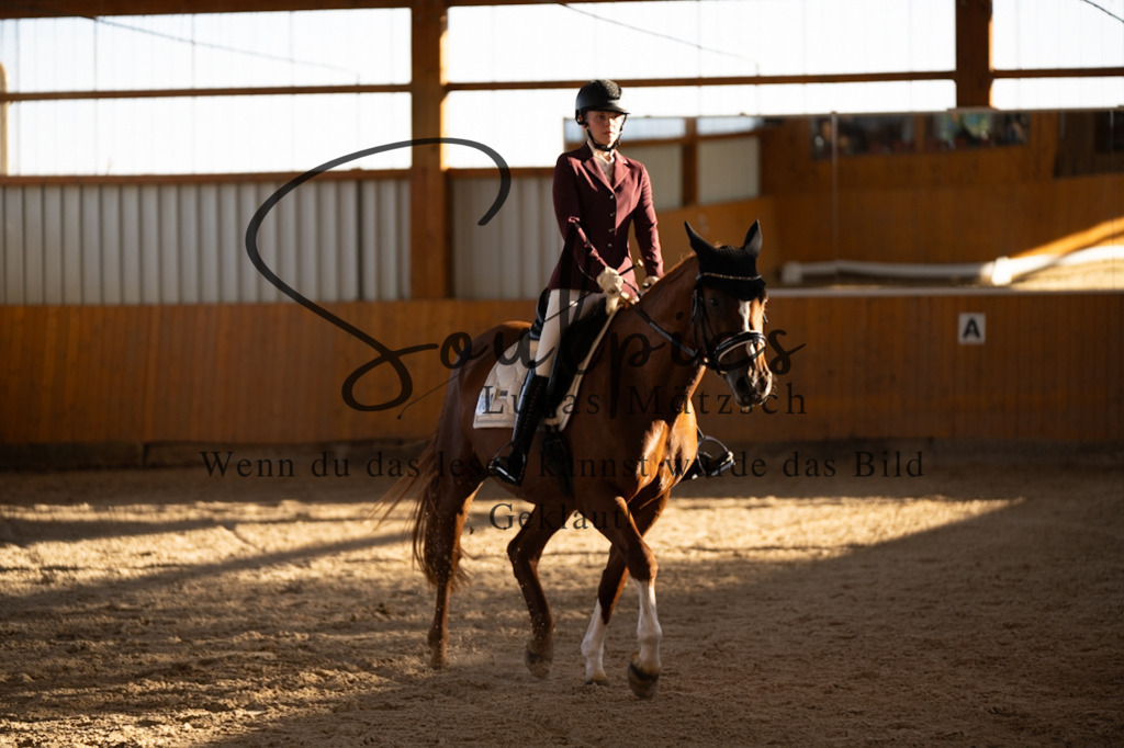 A7V01634 | Turnier/Reitfotograf