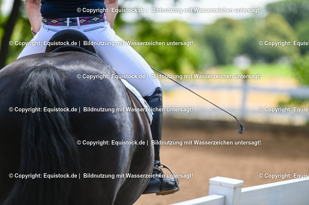 20230716_03_Dressurprfg. Kl.L - Tr._0152 | equistock
