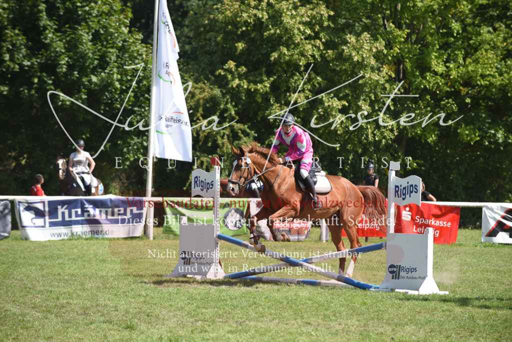 DSC_0242 | Pferde- und Turnierfotografie in Westsachsen. Pferdeportraits, Auftragszeichnungen und intuitive Kunst.