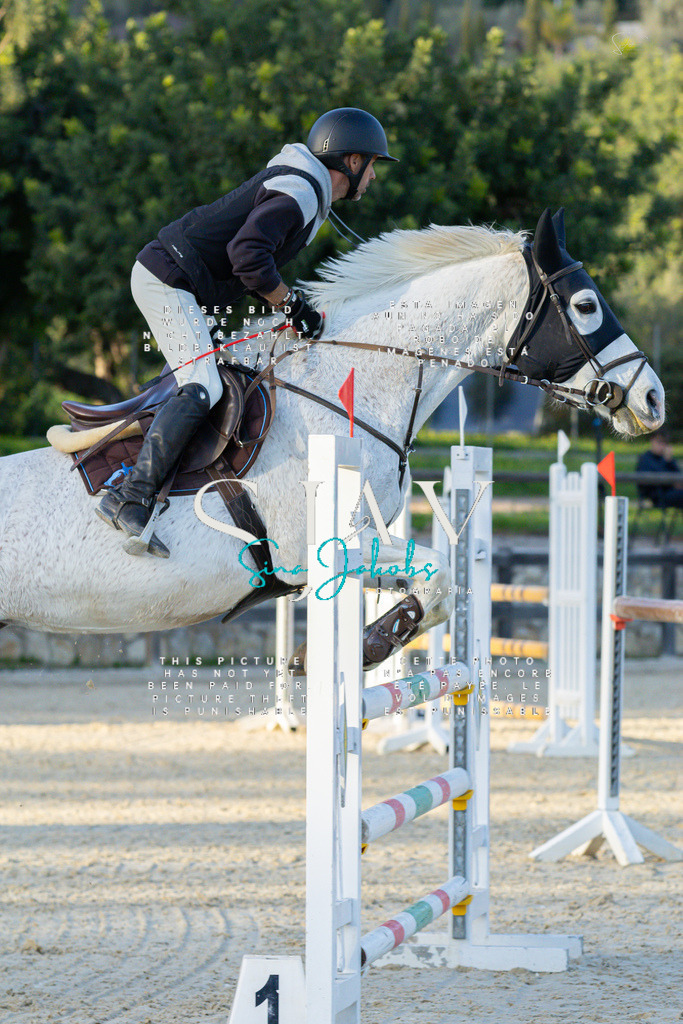 IMG_2308 | s-jay-photography - Realisiert mit Pictrs.com