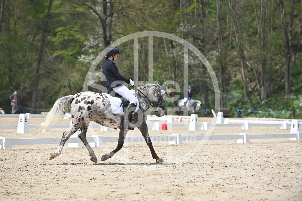 DSC_2309 | sattelsport - Realisiert mit Pictrs.com