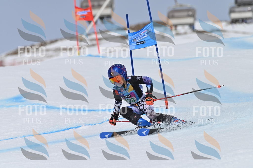 BGV_3717 | holidayphoto