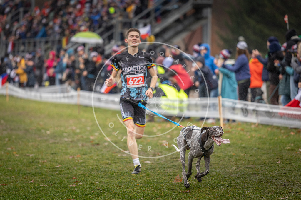CaniXpix_DV3A9627 | Hundefotografie, Tierfotograf, Pfotenfotografie, Fotoshooting Hund, Hunde Portrait, Hundesport, Hundeportraits, Heideshooting, Hunde, Sportfotograf, Hundefotograf, Turnierhundsport, THS,  - Realisiert mit Pictrs.com
