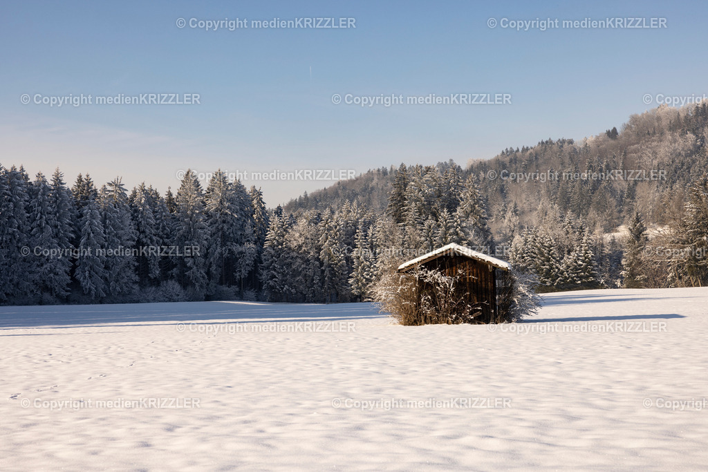 _J3A9649 | medienkrizzler - Realisiert mit Pictrs.com