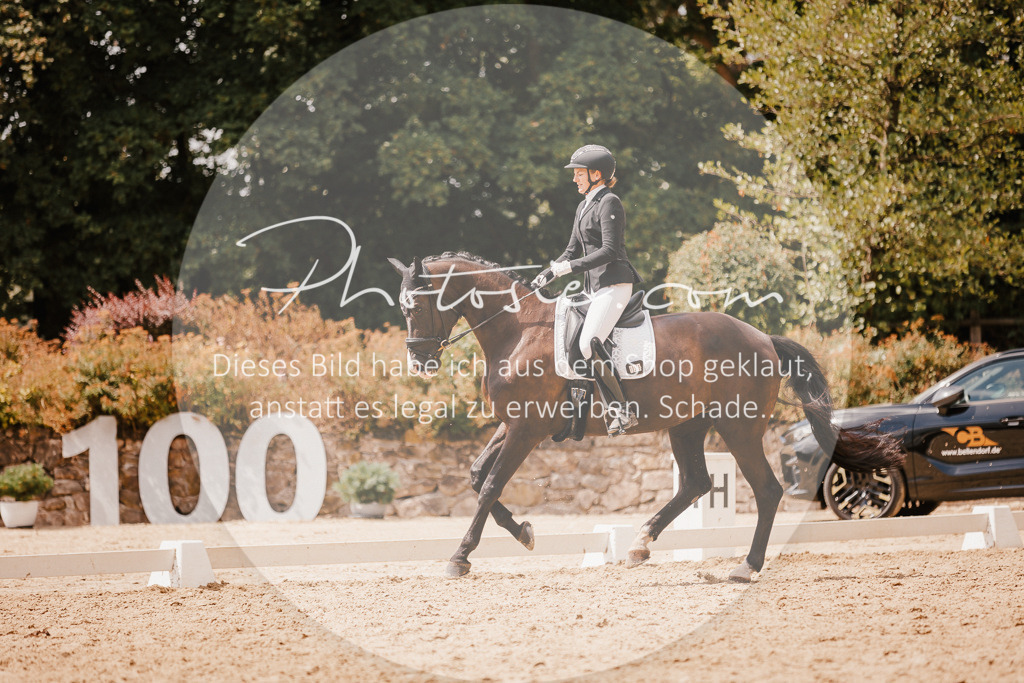 3I6A6294 | Stimmungsvolle Portraits und Reitsportfotografie im Ruhrgebiet und im Münsterland.

Pferdefotografie, Hundefotografie, Tierfotografie, Reportagen, Portraits von Tier und Mensch, Turnierfotografie in Bochum, Recklinghausen, Marl, Haltern am See, Dülmen.. - Realisiert mit Pictrs.com