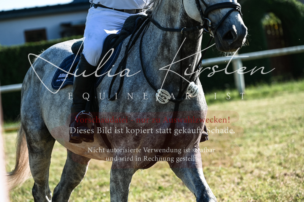 DSC_2796 | Pferde- und Turnierfotografie in Westsachsen. Pferdeportraits, Auftragszeichnungen und intuitive Kunst.