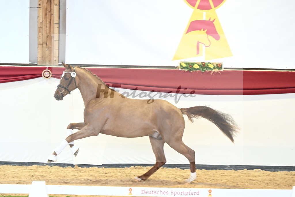 Kat.-Nr. 74 v. Va Bene_Schumacher_2240650 | hf-fotografie - Realisiert mit Pictrs.com