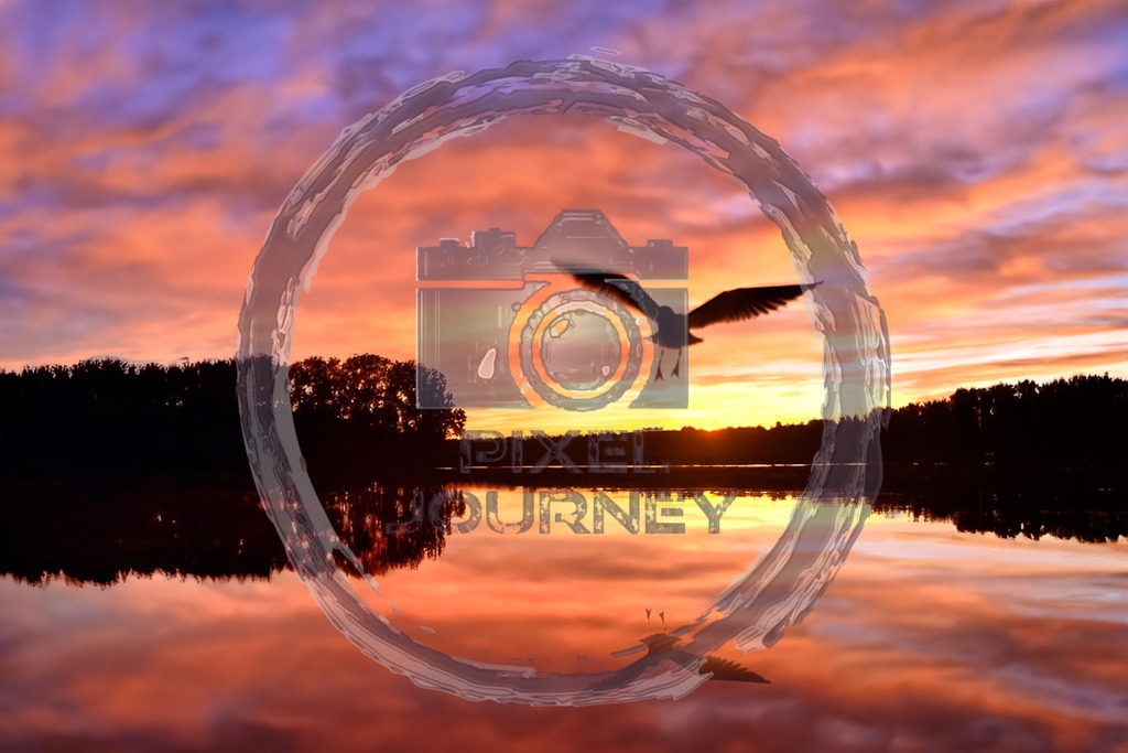 Sonnenuntergang_mit_Spiegelung+Vogel | Fotograf, Fotografin, Portraitfotograf, Kunstfotograf, Fotoshop Fineart, Fotoshop Kunstfotografie, Fotos kaufen, Pixeljourney, Doreen Riedel, Natur, Tiere, Architektur, Kunst, Makro