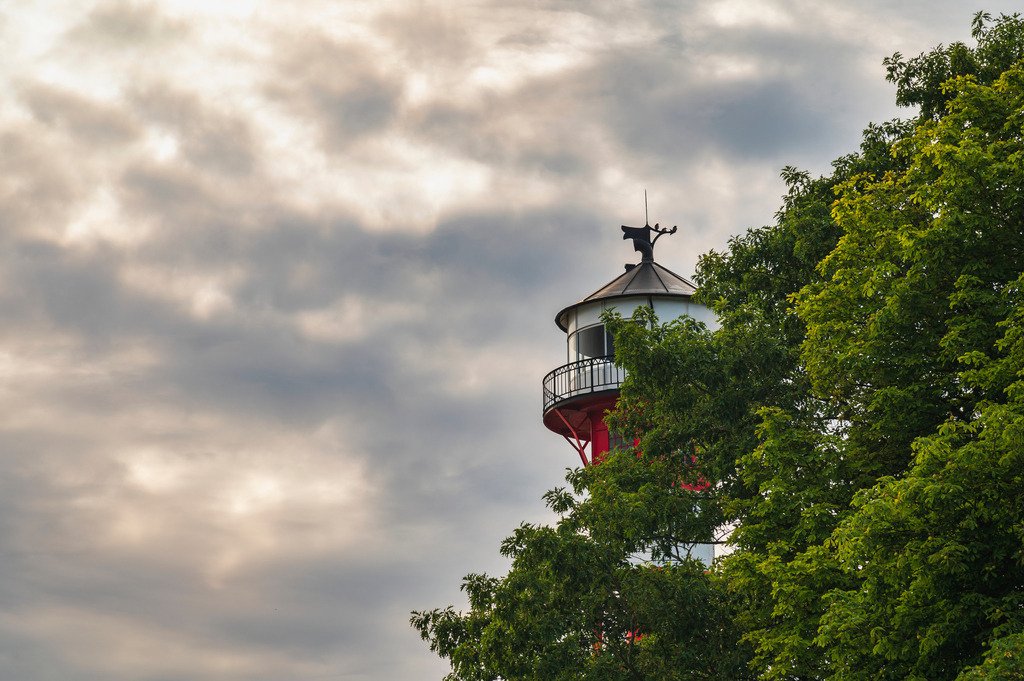 2024_07_25_WEDEL-WITTENBERGEN_MCP1690 | Hochwertig gedruckte Fotografien für die Wand, als Kalender und zum Verschenken. Hamburg & Norddeutschland und überall wo ich mit der Kamera unterwegs war.