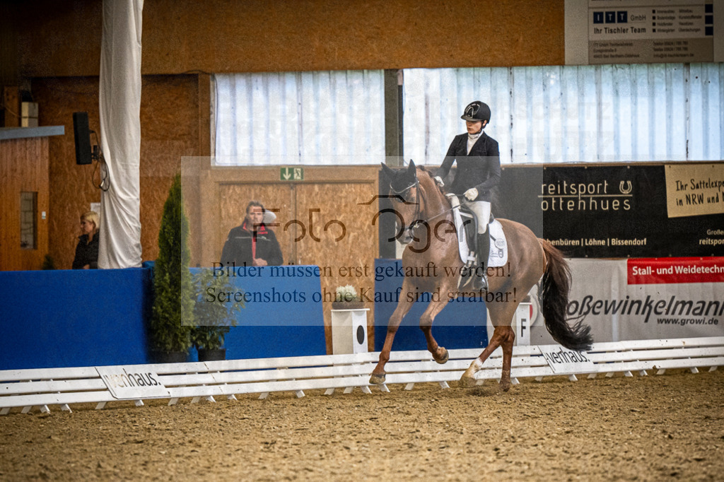 DOS_1000 | Entdecke hochwertige Reitturnierfotos von Foto Oger. Professionell, emotional und authentisch – jetzt Lieblingsmomente im Shop bestellen.Deutschlandweite Turnierfotografie. - Realisiert mit Pictrs.com