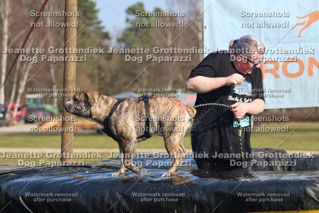 Dog Paparazzi - Strongdog North Mrz26-3149 | Dog Paparazzi Jeanette Grottendiek Fotografie & Videografie - Realisiert mit Pictrs.com