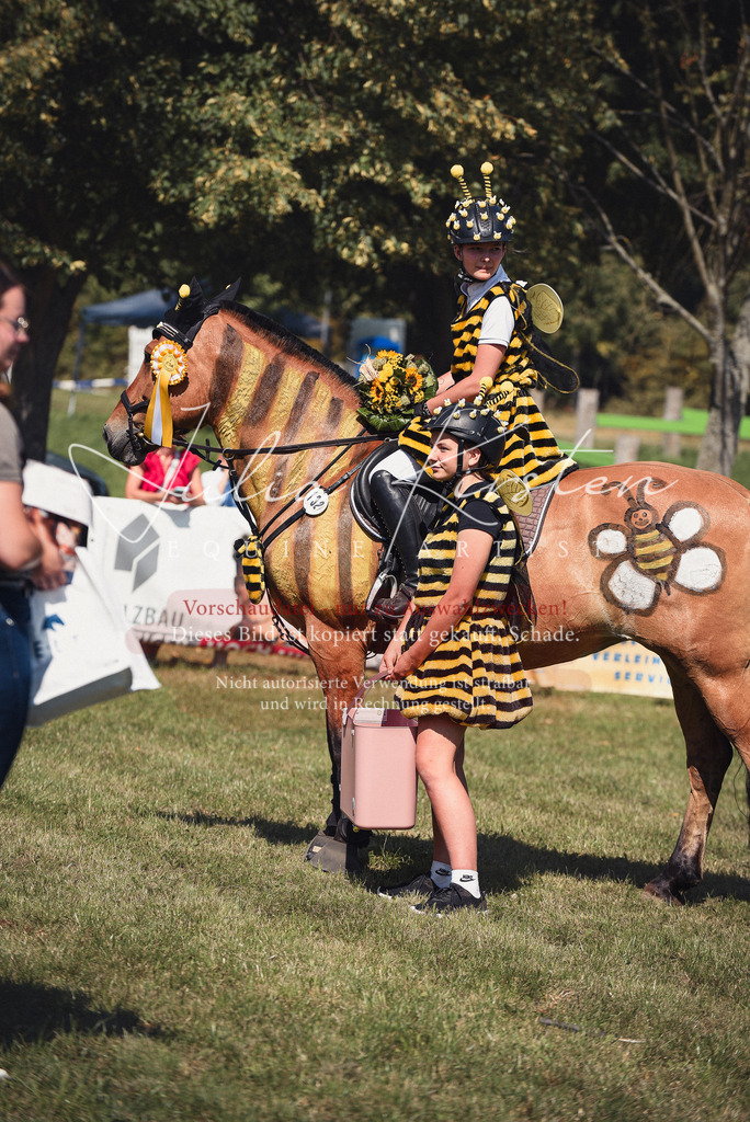 DSC_0447 | Pferde- und Turnierfotografie in Westsachsen. Pferdeportraits, Auftragszeichnungen und intuitive Kunst.
