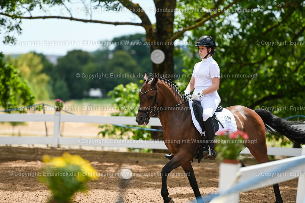 20230715_05_Dressurprüfung Kl.A++_0028 | equistock
