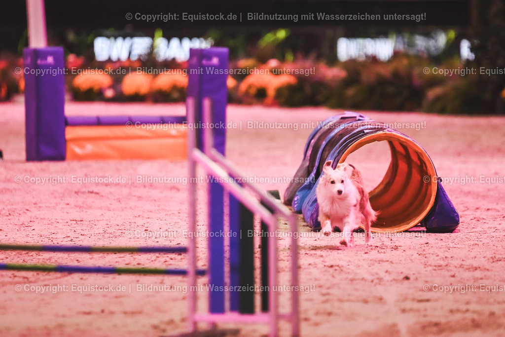 20241113_Showabend_TOMsPiC_0444 | Foto: Thomas Hartig
